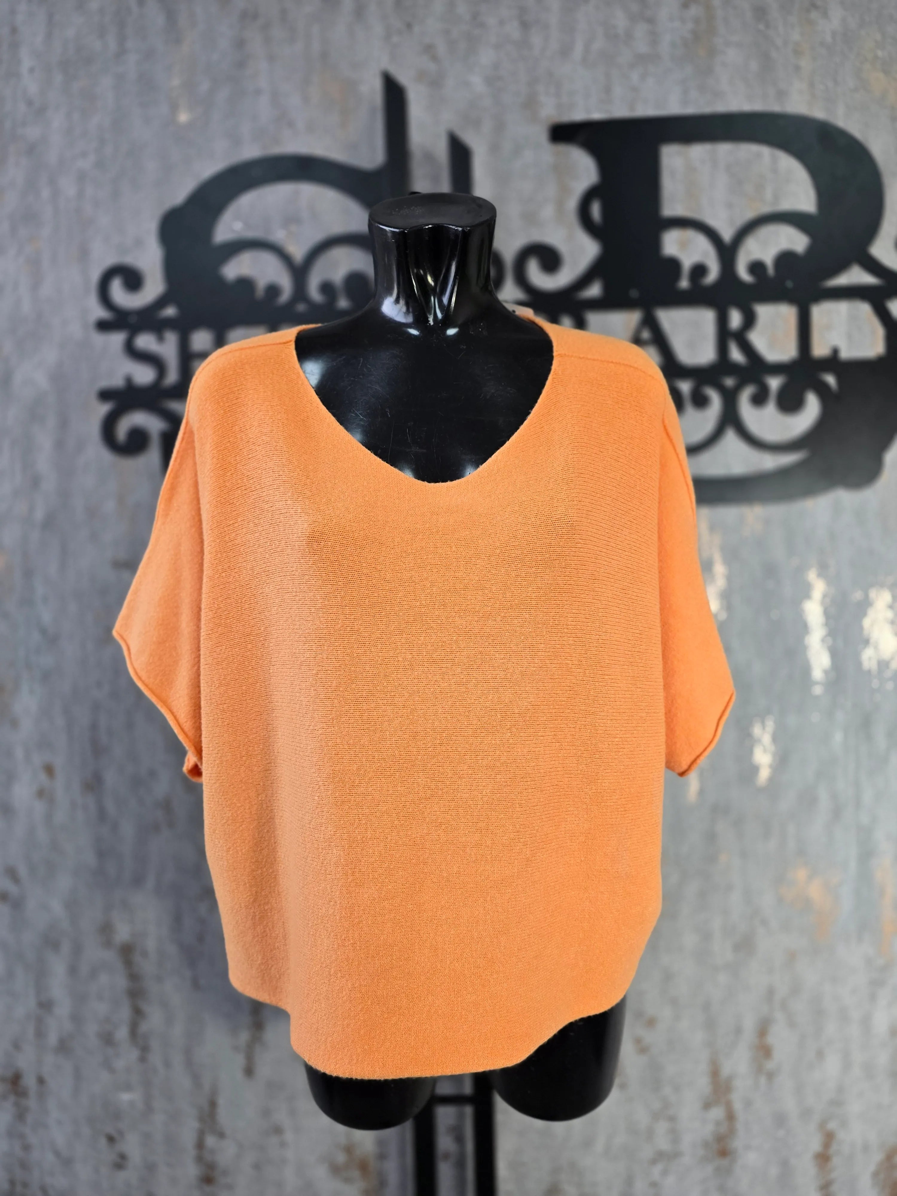 Short Sleeve Soft Knit Top