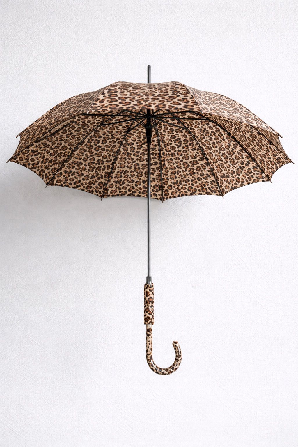 SB Umbrella Collection