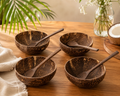 Polished Coco Bowls with Spoons (4 Piece)